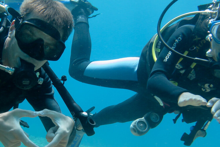 Dive Wishes Koh Tao