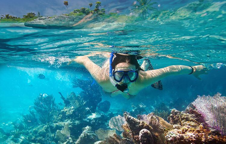 Snorkeling Angthong Marine Park